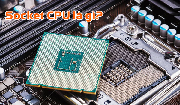 Socket CPU là gì